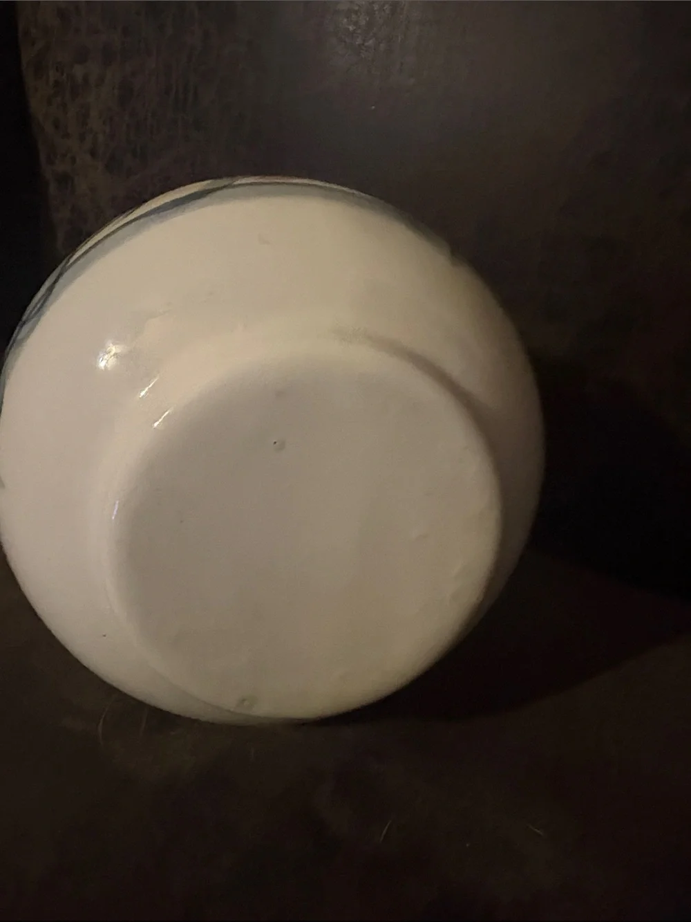 Gail Pittman Hand-Painted White Ceramic Floral Accent Vase with Blue Rim